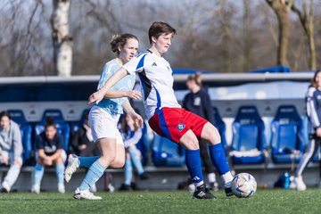 Bild 177 - F Hamburger SV 3 - Blau-Weiss 96 : Ergebnis: 5:1
